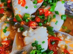 -钟叔烩鸡