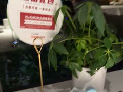 -大鸭梨烤鸭(枣园店)
