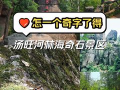 -汤旺河林海奇石景区