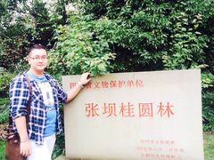 -张坝桂圆林公园