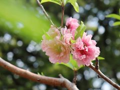 -中山公园
