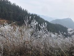 -韶山毛泽东同志故居