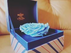 -BEAST野兽派(上海浦东嘉里城店)