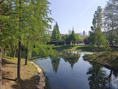 -尚贤河湿地