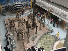 -中国地质大学逸夫博物馆