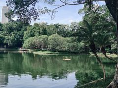 -晓港公园