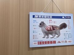 -米苏动物医院·犬猫专科·骨科外科内窥镜