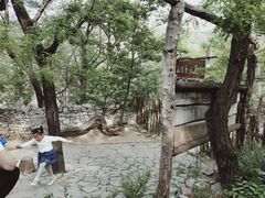 -井塘古村