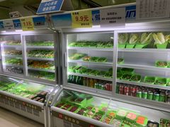 -蚝专家