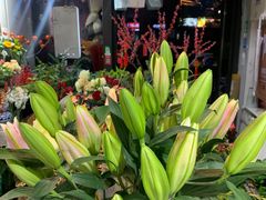 -何兮花店·气球派对鲜花店(马桥银春路万科城店)