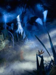 -天邑国际酒店·宴会厅