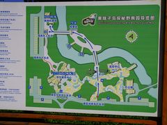 -黑瞎子岛探秘野熊园