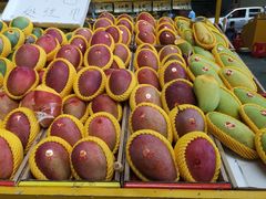 -三亚新鸿港水果一级批发市场