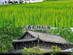 -老鼎万春卤菜(五代传承创始老店)