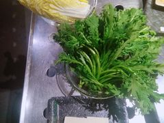 蔬菜-王家渡火锅店(怀柔迎宾北路店)