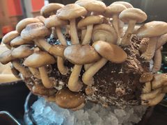 -火鳳祥美蛙牛肉自助(青悦城店)
