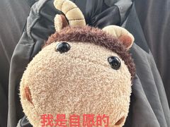 -大鸽饭(体育西路店)