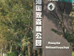 -黄海国家森林公园