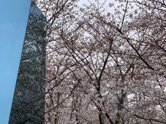 -龙美术馆(西岸馆)
