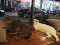 -B.O.M波姆烘焙(凤凰街店)