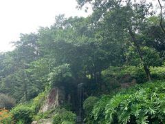 -广州市白云山风景名胜区