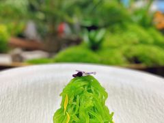 -江仙雅居(中航国际店)