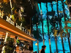 -桂满陇·海市蜃楼·黑金(国金店)