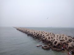 -东疆建设开发纪念公园