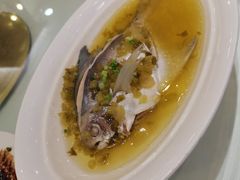雪菜卤煮小白鲳-金时代顺风大酒店(爱琴海购物中心店)