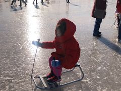 -绿野森林乐园冰雪季