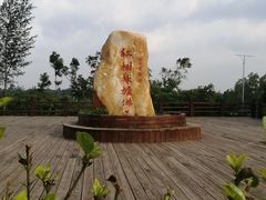 -东寨港红树林旅游区