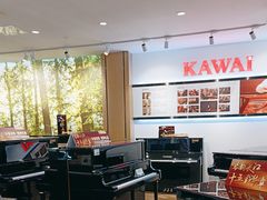 -柏斯琴行(汾阳店)