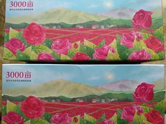 -嘉华鲜花饼·现烤(昆明老街店)