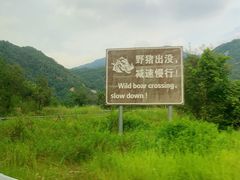 -内乡宝天曼生态旅游区