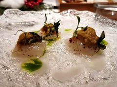 -蝶舍·MAISON PAPILLON