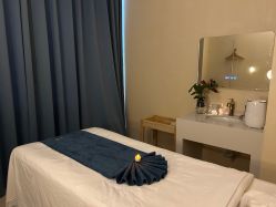 -隐逸SPA