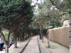 -延安杨家岭革命旧址