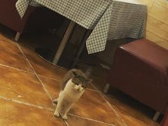 -Tony's House