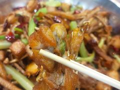 干锅牛蛙-馋嘴蛙火锅