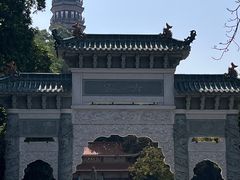 -顺峰山公园