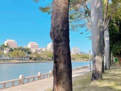 -白鹭洲公园