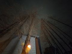 -云间粮仓