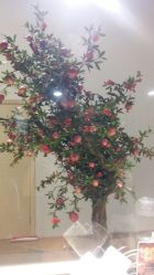 -沈阳新都绿城喜来登酒店·宴会厅