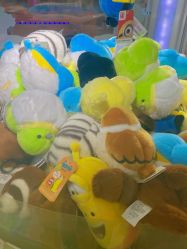 -莫莉幻想儿童乐园(北京天通苑华联店)