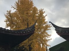 -檀园
