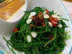 炝拌沙葱-星月美食城(雁西路店)