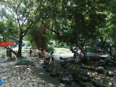 -成都市活水公园
