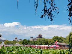 -莲花池公园