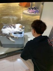 -美美秀造型
