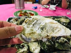-蠔园山庄(礼乐食街店)